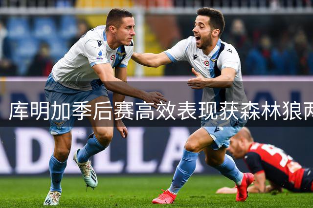 库明加季后赛高效表现获森林狼两年合约