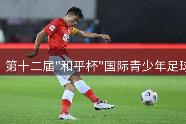 第十二届"和平杯"国际青少年足球赛在沈阳盛大启幕